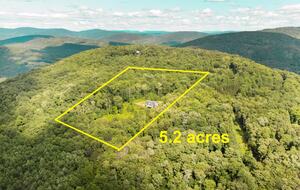 Scenic Bovina Mountain Escape on 5 Private Acres - Bovina Center, New York