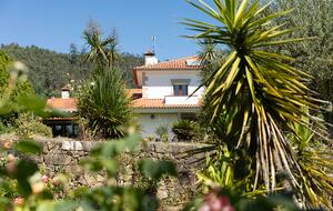 Countryside Estate with Lake and Pastures - Barbudo, Portugal
