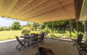 Countryside Estate with Lake and Pastures - Barbudo, Portugal