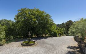 Countryside Estate with Lake and Pastures - Barbudo, Portugal