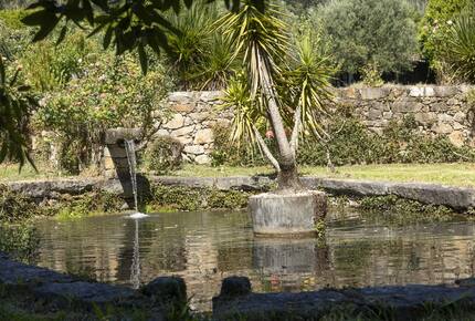 Countryside Estate with Lake and Pastures - Barbudo, Portugal
