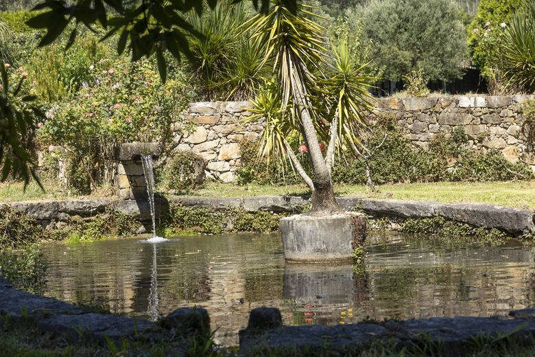 Countryside Estate with Lake and Pastures - Barbudo, Portugal