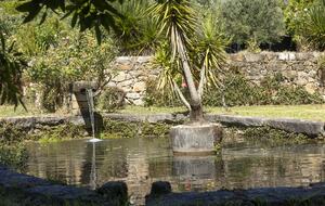 Countryside Estate with Lake and Pastures - Barbudo, Portugal