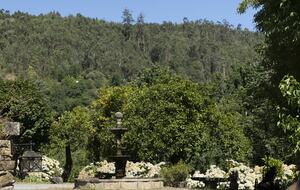Countryside Estate with Lake and Pastures - Barbudo, Portugal