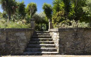 Countryside Estate with Lake and Pastures - Barbudo, Portugal