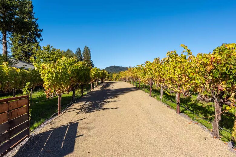 Healdsburg Vineyard Retreat with Pool, Spa & Sauna - Healdsburg, California