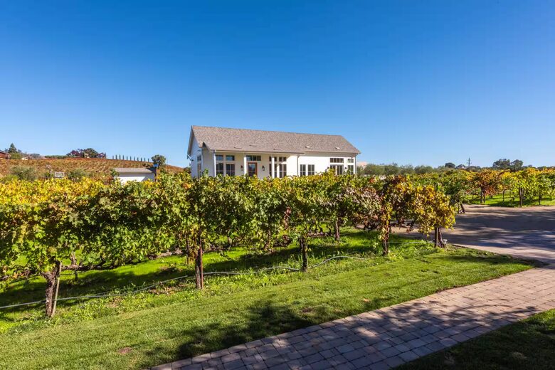 Healdsburg Vineyard Retreat with Pool, Spa & Sauna - Healdsburg, California