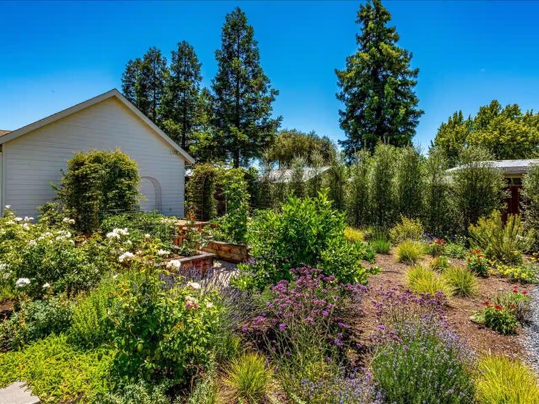 Healdsburg Vineyard Retreat with Pool, Spa & Sauna - Healdsburg, California