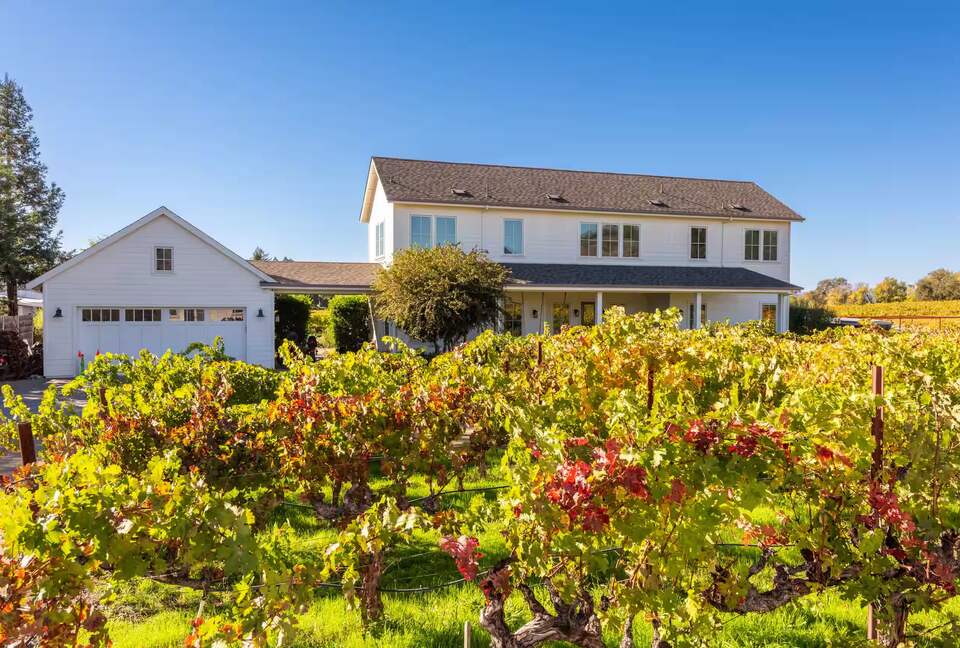 Healdsburg Vineyard Retreat with Pool, Spa & Sauna - Healdsburg, California