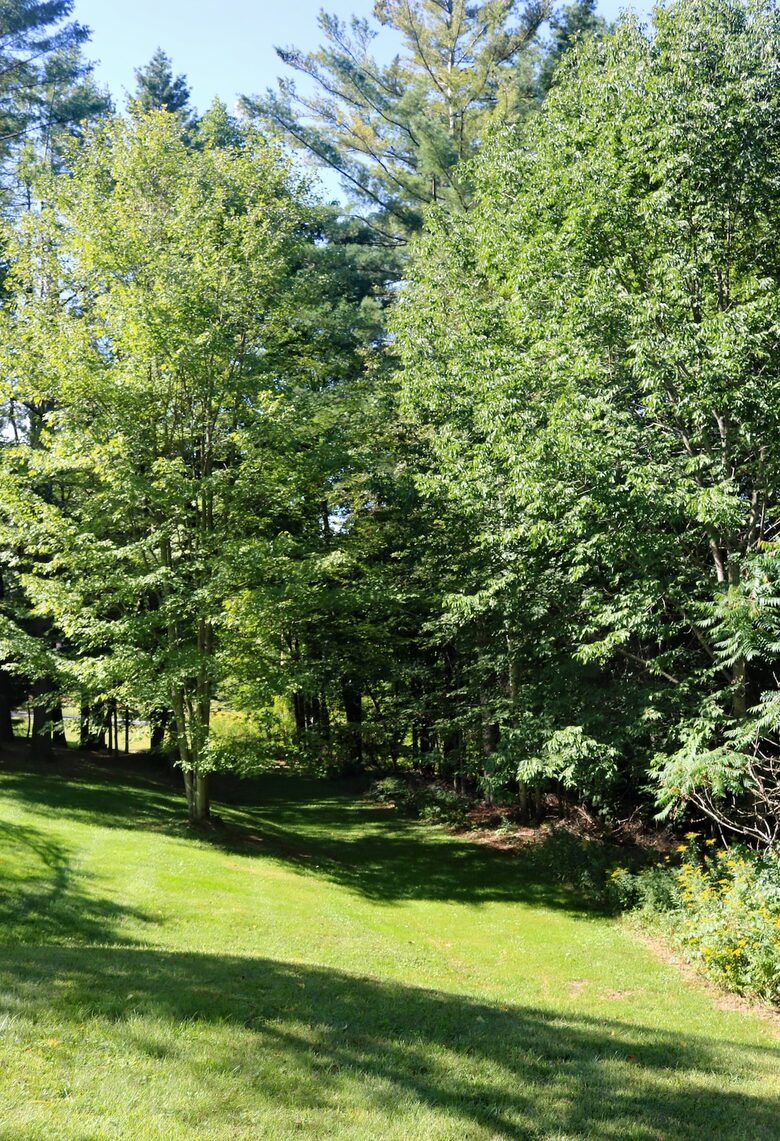 Mansfield Ridge Mountain Estate near Stowe Village - Stowe, Vermont