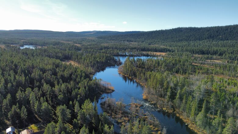 Experience the Silence of Swedish Lapland - Arjeplog, Sweden