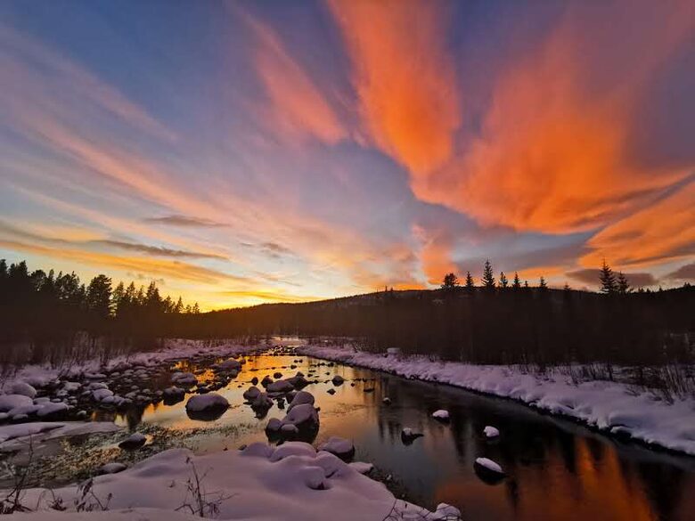 Experience the Silence of Swedish Lapland - Arjeplog, Sweden