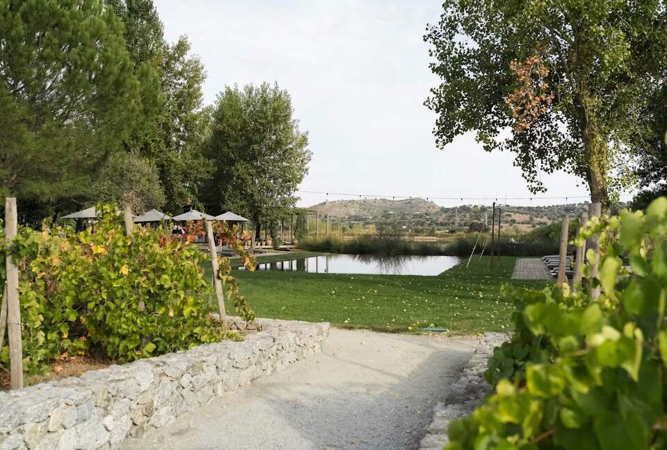 Private Pool Villa near Montemor-o-Novo - Montemor-o-Novo, Portugal
