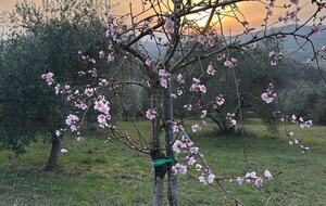Umbrian Home with Private Woodland - Piegaro, Italy