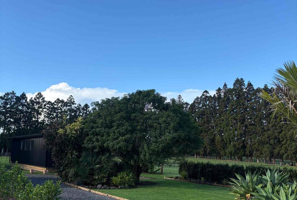 Quiet Country Living in the Bay of Islands - Haruru, New Zealand