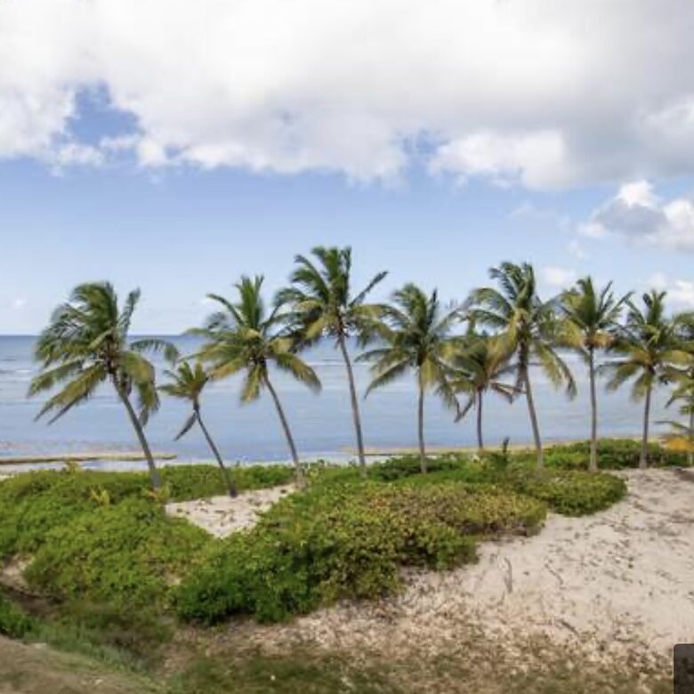 Relaxed St. Croix Getaway - Christiansted, Virgin Islands, U.S.