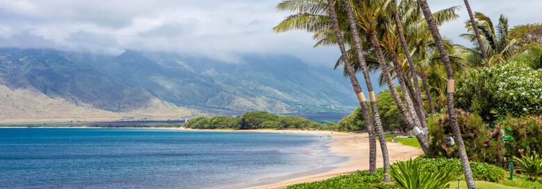 Maui Oceanfront Living at Sugar Beach - Kihei, Hawaii