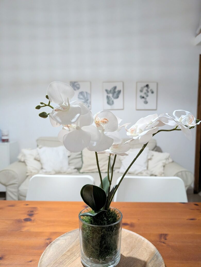 Coastal Apartment in San Teodoro - San Teodoro, Italy
