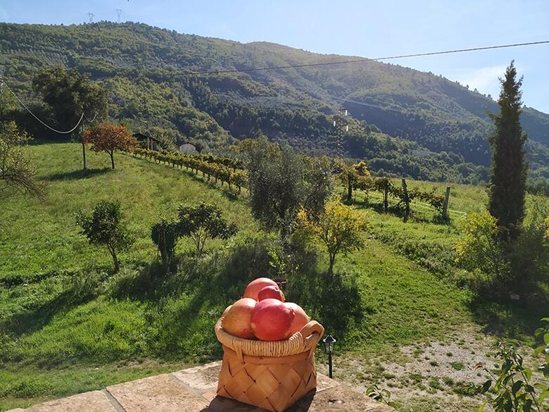 Private Umbrian Farmhouse with Countryside Views - Ferentillo, Italy