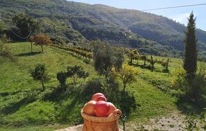 Private Umbrian Farmhouse with Countryside Views - Ferentillo, Italy