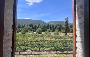 Countryside Apartment in a Traditional Umbrian Agriturismo - Ferentillo, Italy