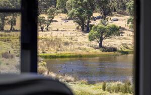 Modern Mountain Living at Lake Crackenback - Crackenback, Australia