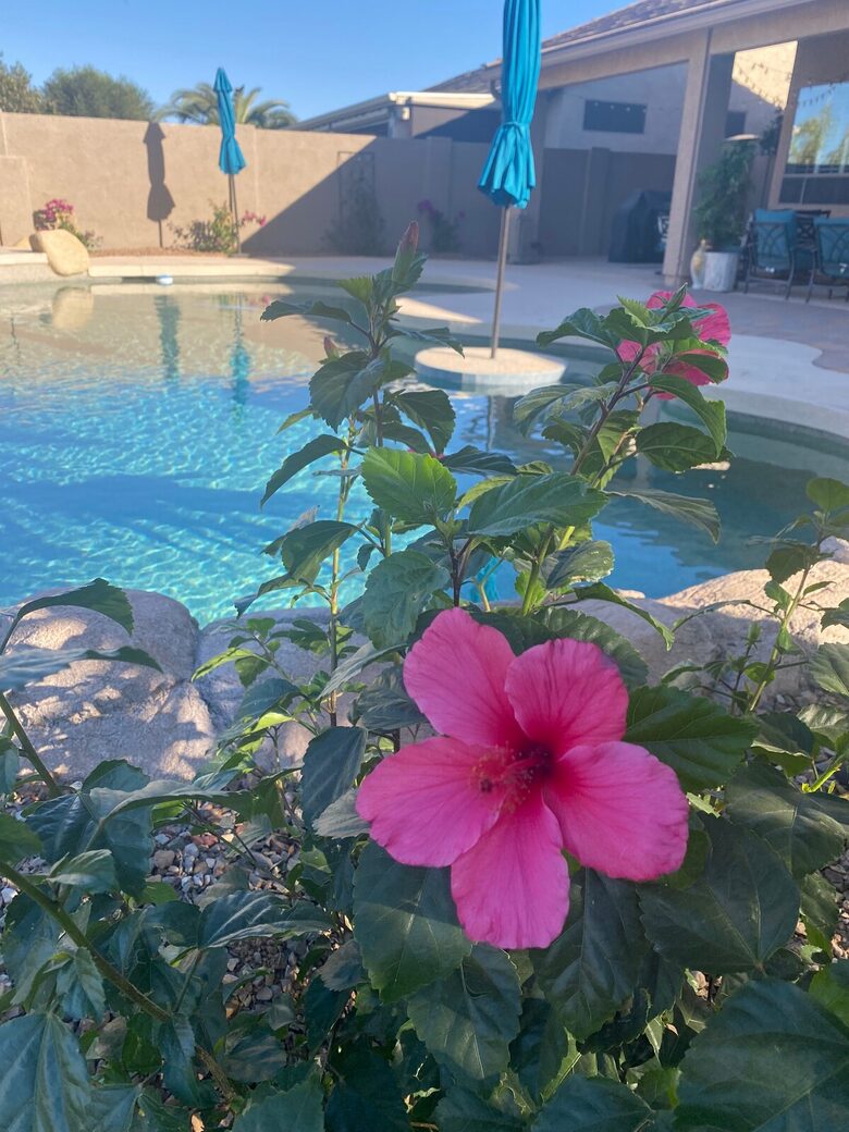 Lakeside Living on Oakwood Lake - Chandler, Arizona