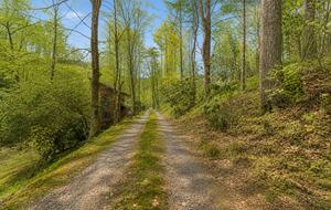 Creek Front Mountain Retreat - Hayesville, North Carolina