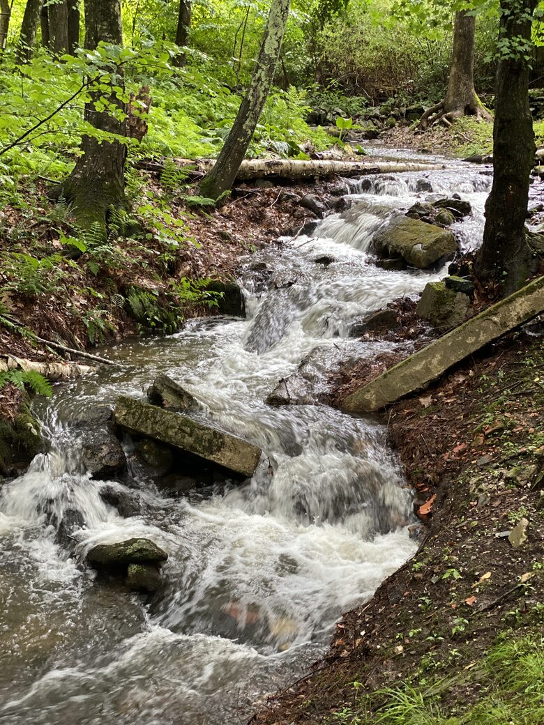 Historic Connecticut Escape with Garden Views - New Preston, Connecticut
