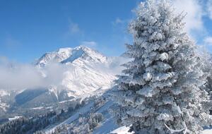 Mont Blanc View Alpine Apartment - Saint-Gervais-les-Bains, France