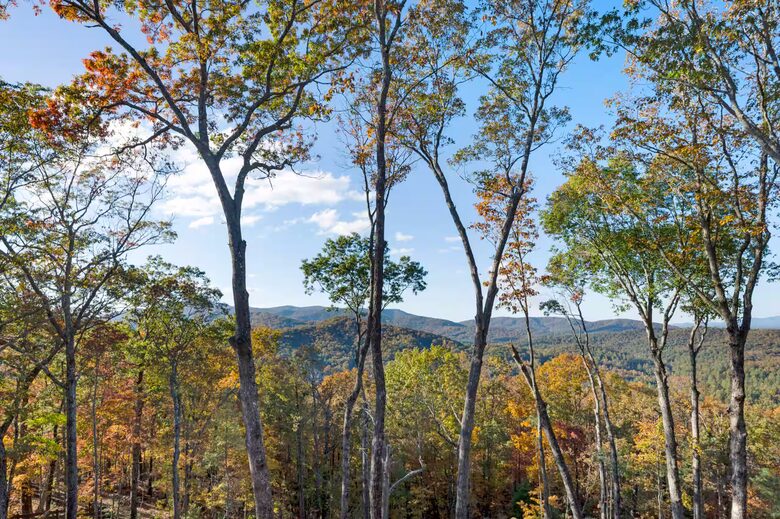 Mountain Top Views & Privacy at Eagle Ridge - Blue Ridge, Georgia
