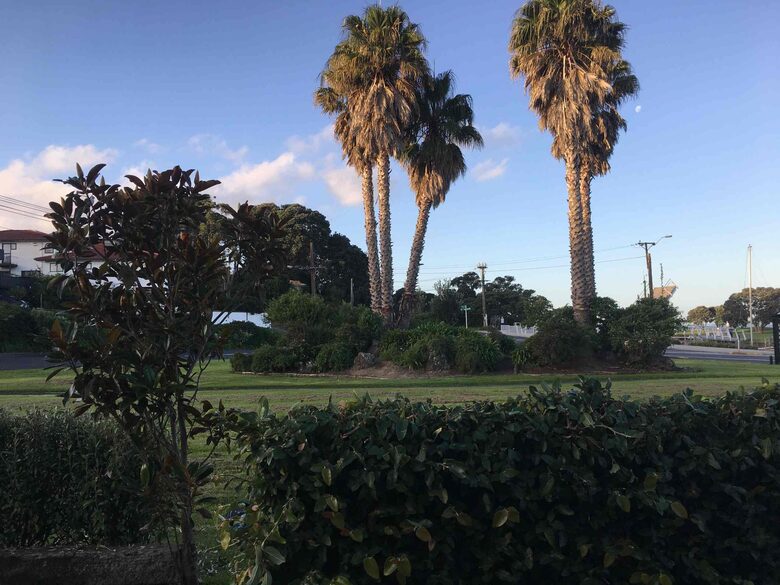 Takapuna Living Near the Beach and Village - Takapuna, New Zealand