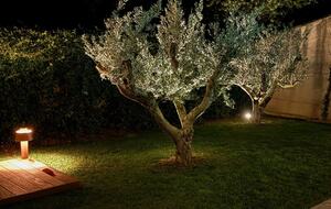 Contemporary Garden Residence in Central Aix - Aix-en-Provence, France