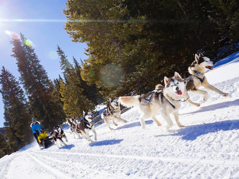 One Ski Hill Place - Ski-In/Ski-Out Peak 8 - True Breckenridge Luxury - Breckenridge, Colorado