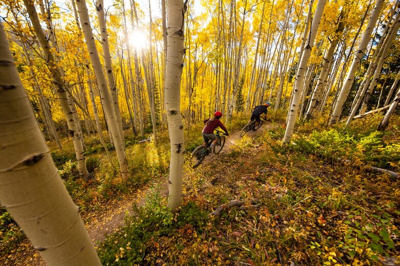 One Ski Hill Place - Ski-In/Ski-Out Peak 8 - True Breckenridge Luxury - Breckenridge, Colorado