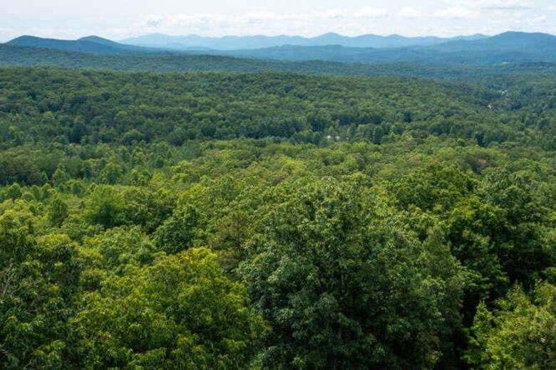 Morganton Mountain Event Retreat Near Blue Ridge - Morganton, Georgia