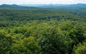Morganton Mountain Event Retreat Near Blue Ridge - Morganton, Georgia