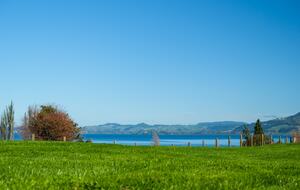 Lake Rotorua Farmhouse Retreat - Hamurana, New Zealand