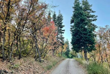 Tollgate Canyon Cabin with Hot Tub & Steam Room - Coalville, Utah