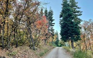 Tollgate Canyon Cabin with Hot Tub & Steam Room - Coalville, Utah