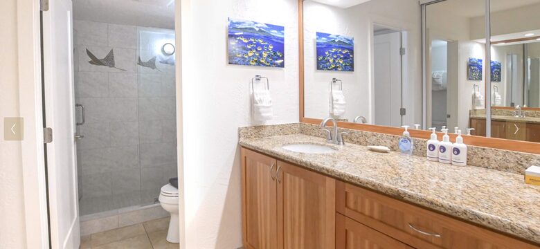 Maui Oceanfront, Stunning view! Sunshine, Ocean Activities, Golf, Pickleball, Tennis and World Class Restaurants! - Lahaina, Hawaii
