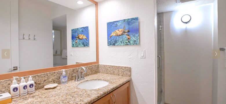 Maui Oceanfront, Stunning view! Sunshine, Ocean Activities, Golf, Pickleball, Tennis and World Class Restaurants! - Lahaina, Hawaii