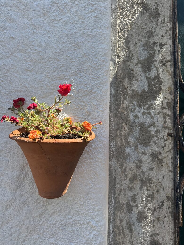 Benavente Home | A Historic Portuguese Haven with Modern Comforts - Benavente, Portugal