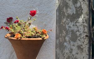Benavente Home | A Historic Portuguese Haven with Modern Comforts - Benavente, Portugal