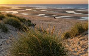Dune Reach, Cambersands - Rye, United Kingdom