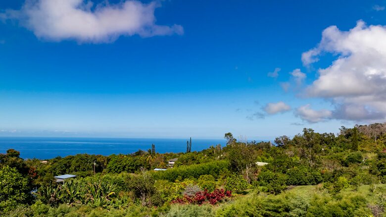 Kona Coast Estate with Infinity Pool - Captain Cook, Hawaii