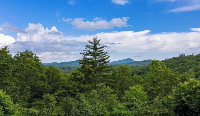 Cashiers Luxe Cottage with Mountain Views - Cashiers, North Carolina