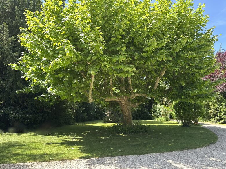 17th-Century Watermill Retreat Minutes from Aix-en-Provence - Aix-en-Provence, France