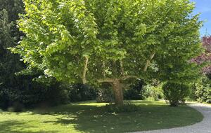 17th-Century Watermill Retreat Minutes from Aix-en-Provence - Aix-en-Provence, France