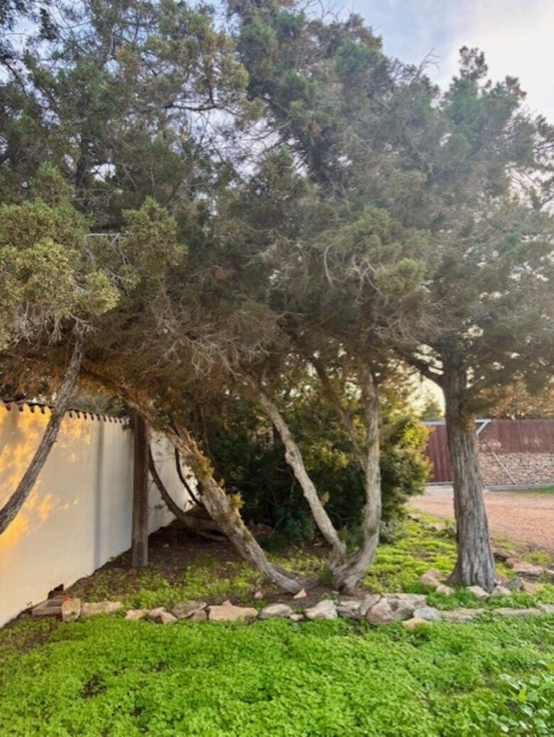Formentera Sea View Hideaway - Formentera, Spain